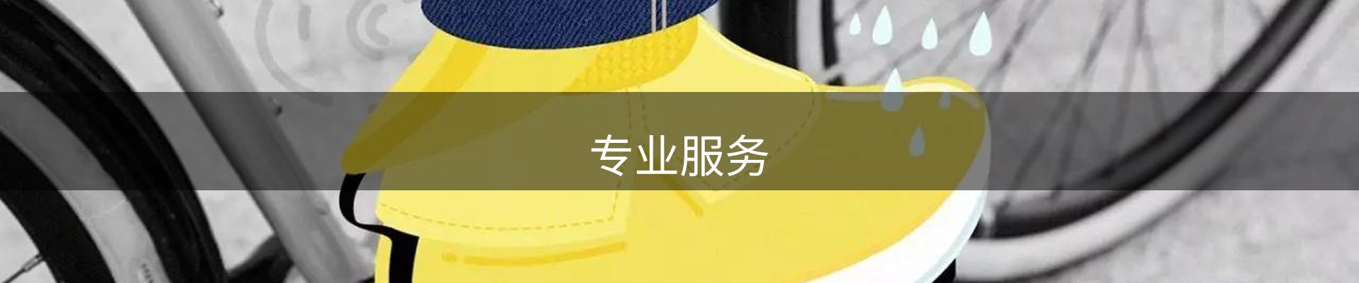 专业服务